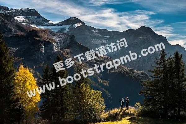 ⊞ Portfolio - 沙巴官方网站