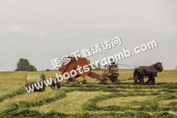 ⊞ Portfolio - 沙巴官方网站