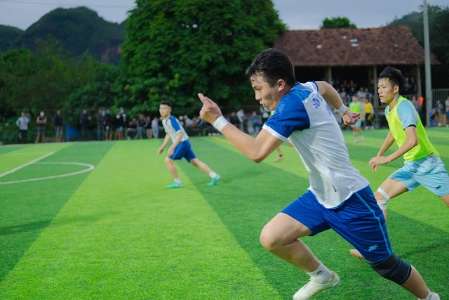 析的高质量 析的高质量