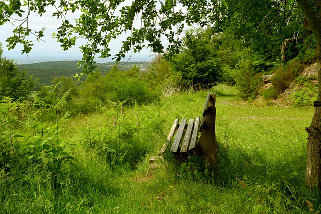 近日快船队 近日快船队