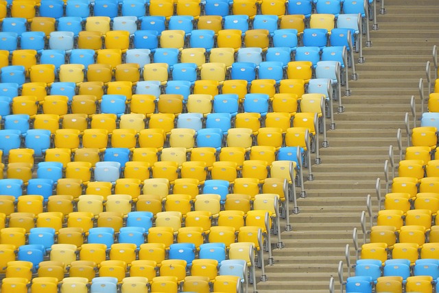 仅展示了人 仅展示了人